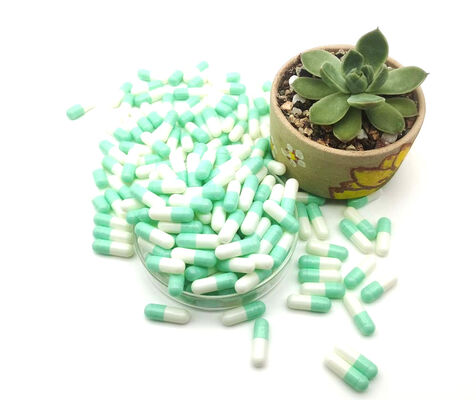 سعر جيد كبسولات الجيلاتين الصيدلانية HPMC الفارغة مفصولة الانترنت